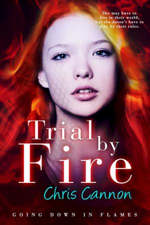 Cover of the book Trial By Fire by Paige Cuccaro