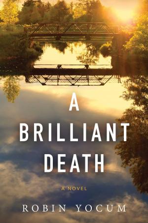 Cover of the book A Brilliant Death by Bradley Harper