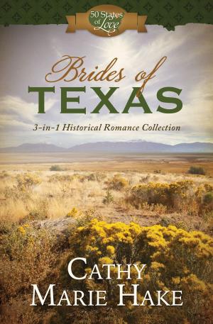 Cover of the book Brides of Texas by Rebecca Currington Snapdragon Group