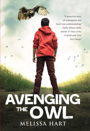 Cover of the book Avenging the Owl by Julian Lennon, Bart Davis