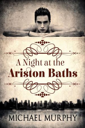 bigCover of the book A Night at the Ariston Baths by 