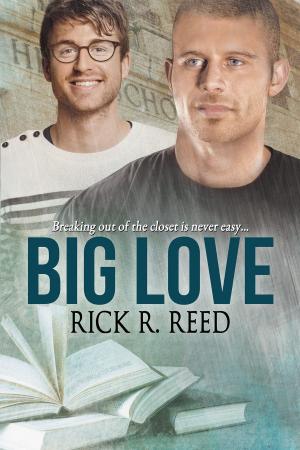 Cover of the book Big Love by Jaime Samms, Brian Holliday, Victor J. Banis, D.W. Marchwell, Clare London, Mary Calmes, Chrissy Munder, Taylor Lochland, C. Zampa, Jan Irving, Moria McCain, Amy Lane, Patric Michael