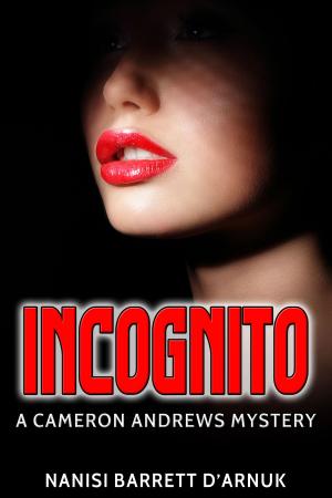 Book cover of Incognito