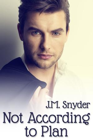 Cover of the book Not According to Plan by J.M. Snyder