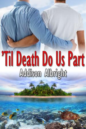 Cover of the book Til Death Do Us Part by J.M. Snyder