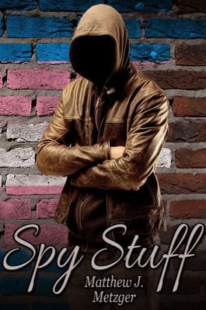 Cover of the book Spy Stuff by Tam MacNeil