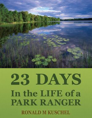 Cover of the book 23 Days by M. Matheson