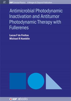 Cover of the book Antimocrobial Photodynamic Inactivation and Antitumor Photodynamic Therapy with Fullerenes by Richard Ansorge, Martin Graves