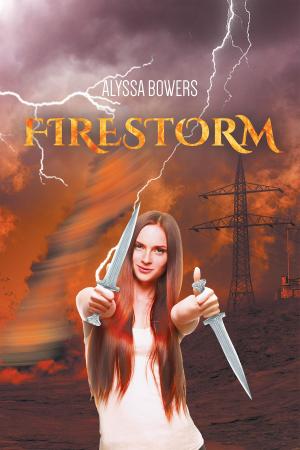 Cover of the book Firestorm by John Heru Aan Allsop