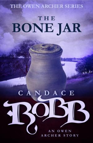 Cover of the book The Bone Jar by J.C. Hutchins