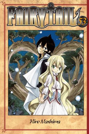 Cover of the book Fairy Tail by Mao Nanami
