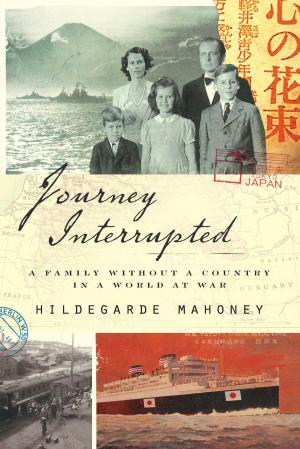 Cover of the book Journey Interrupted by Michael Weiss, Hassan Hassan