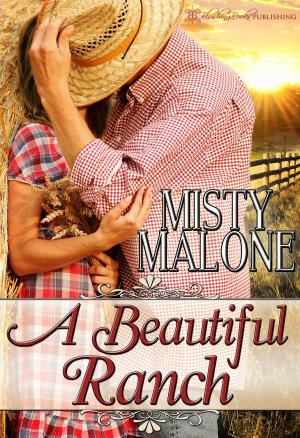 Cover of the book A Beautiful Ranch by PS Cassidy