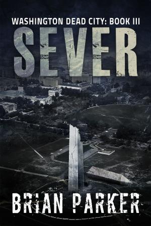 Cover of the book Sever (Washington, Dead City Book 3) by Wayne Schreiber