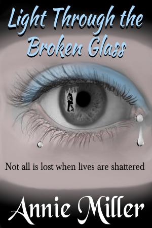 Book cover of Light Through the Broken Glass