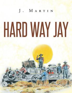 Cover of the book Hard Way Jay by Roy D Perkins