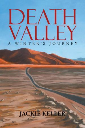 Cover of the book Death Valley: A Winter's Journey by Crystal Allen