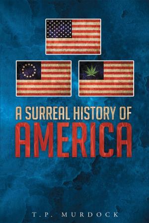 Book cover of A Surreal History Of America
