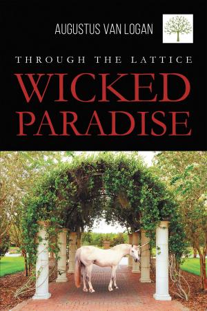 Cover of the book Through the Lattice: Wicked Paradise by Jorge A. Barriere-Mendez