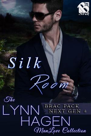Cover of the book Silk Room by Morgan Wood
