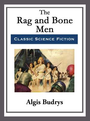 Book cover of The Rag and Bone Men