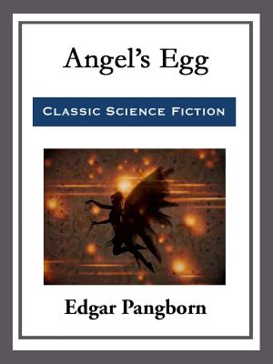 Book cover of Angel's Egg