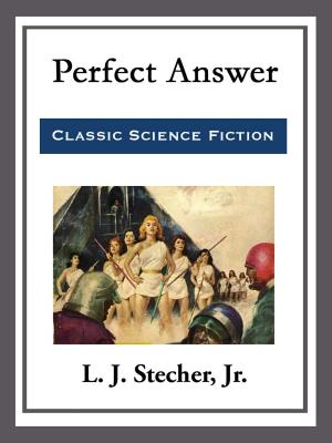 Book cover of Perfect Answer