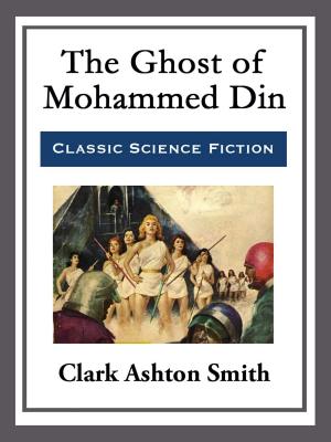 Book cover of The Ghost of Mohammed Din
