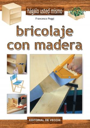 Cover of the book Bricolaje con madera by Anna Prandoni, Fabio Zago