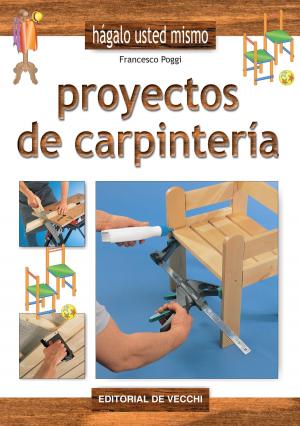 Cover of the book Proyectos de carpintería by Nathalie Anne Dodd
