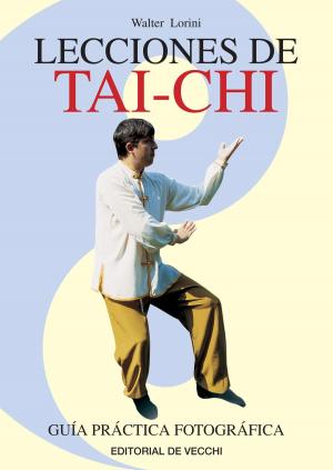 Cover of the book Lecciones de Tai-chi by Bernard Baudouin