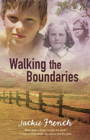 Book cover of Walking The Boundaries