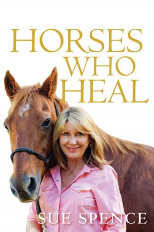 Cover of the book Horses Who Heal by Chris Stinson, Christine Stinson