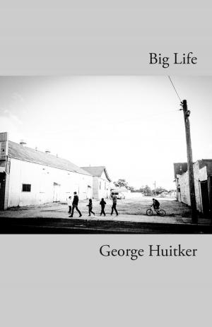 Cover of the book Big Life by John Egan