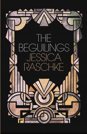 Cover of the book The Beguilings by John Passant