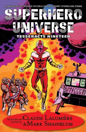 bigCover of the book Superhero Universe by 