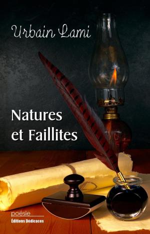 Cover of the book Natures et faillites by Patricia Ilich