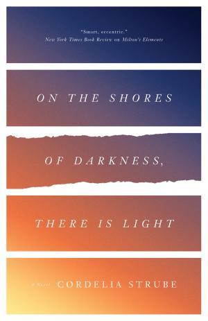 Cover of the book On the Shores of Darkness, There Is Light by Eli Hastings