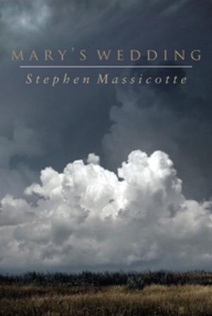 Cover of the book Mary's Wedding by Anita Majumdar