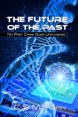 Cover of the book The Future Of The Past by John Stormm