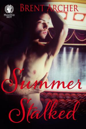 Cover of the book Summer Stalked by Lee Welch