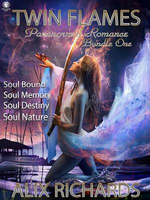 Cover of the book Twin Flames: Bundle One by Alix Richards