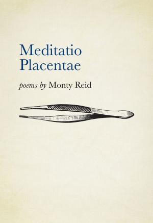 Cover of the book Meditatio Placentae by David O'Meara