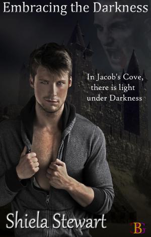 bigCover of the book Embracing the Darkness by 