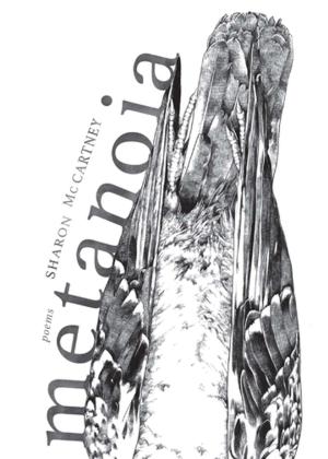 Cover of the book Metanoia by Emili Teixidor