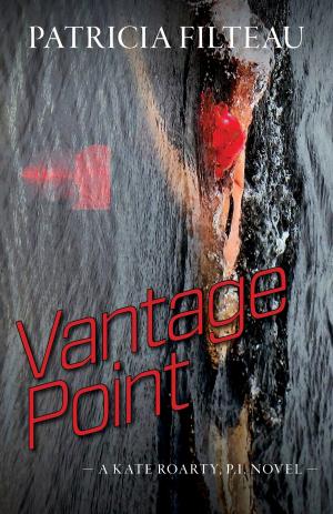 Book cover of Vantage Point