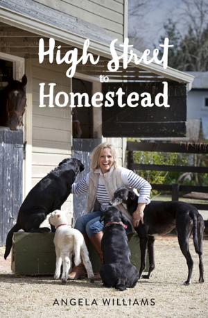 Cover of the book High Street to Homestead by Claudia Babirat, Lloyd Spencer Davis