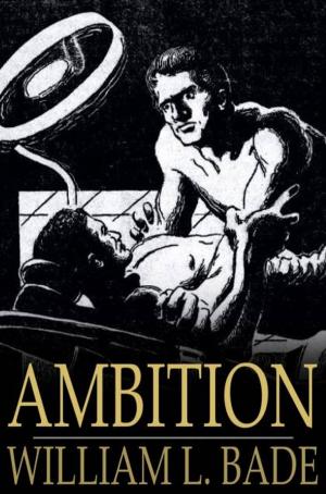 Cover of the book Ambition by Eric Gober, Layla Dorine, Lily Velden