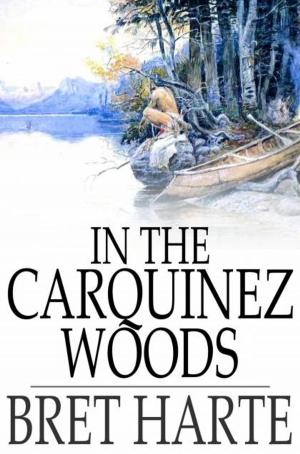 Cover of the book In the Carquinez Woods by G. P. R. James