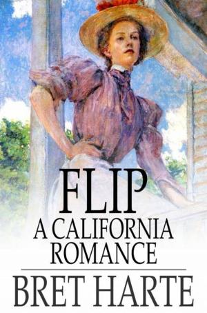 Cover of the book Flip by Ellen Glasgow